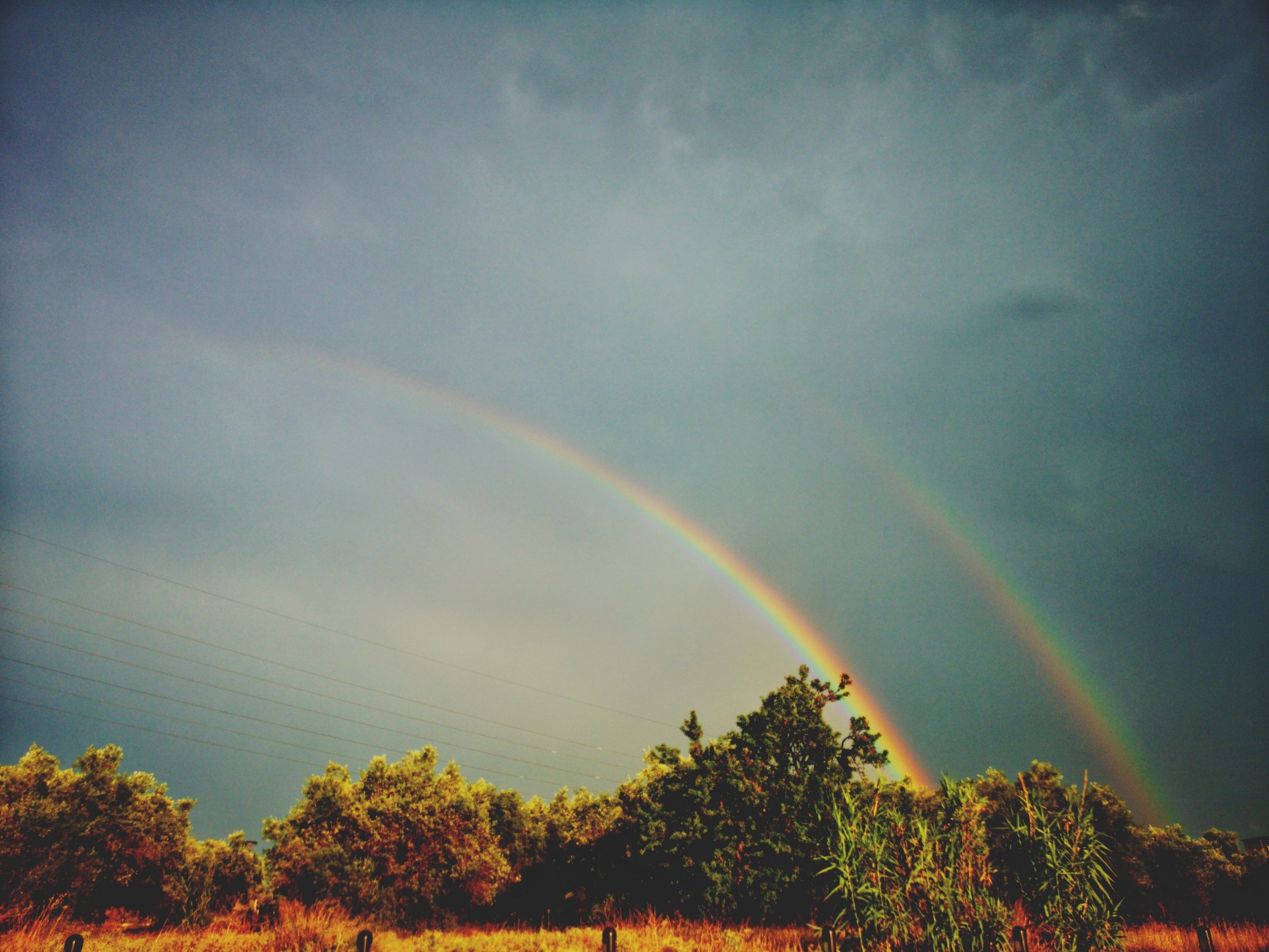 IMG 20180708 194703 01 | Lamianow.gr