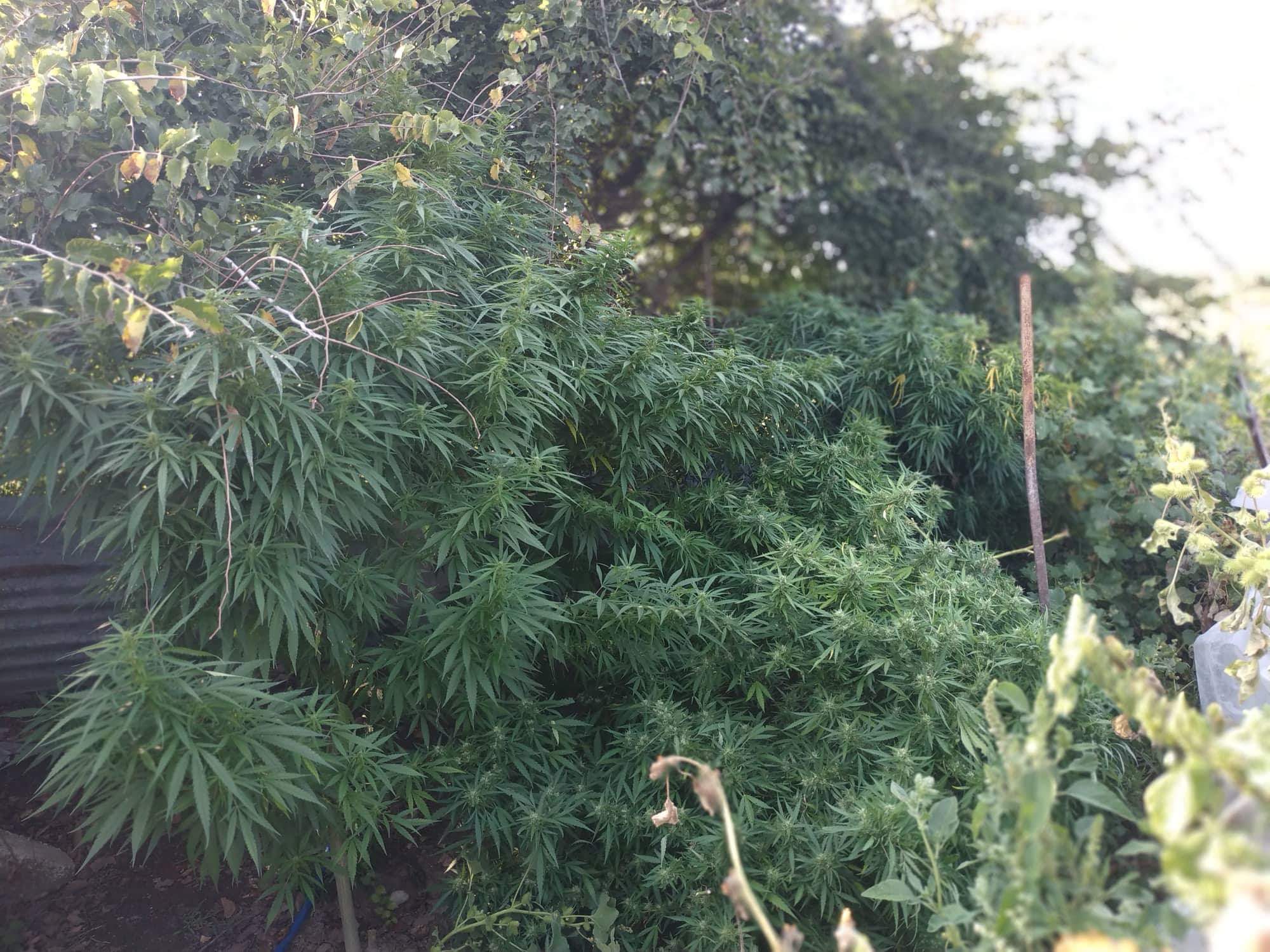 FOTO 1 | Lamianow.gr