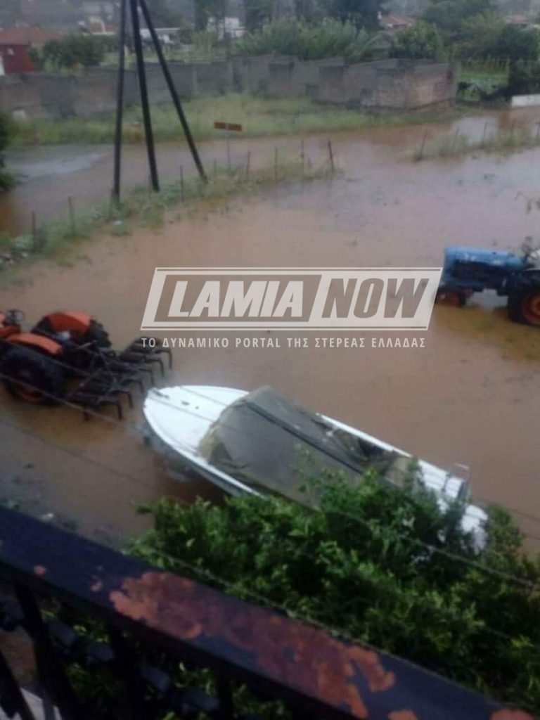 received 2035247666527205 | Lamianow.gr