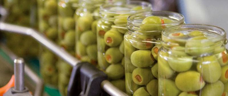 AGROTIKOS ELAIOURGIKOS SYNETAIRISMOS STYLIDOS 58d3f131d4164b2cbd888eb055e59512 | Lamianow.gr