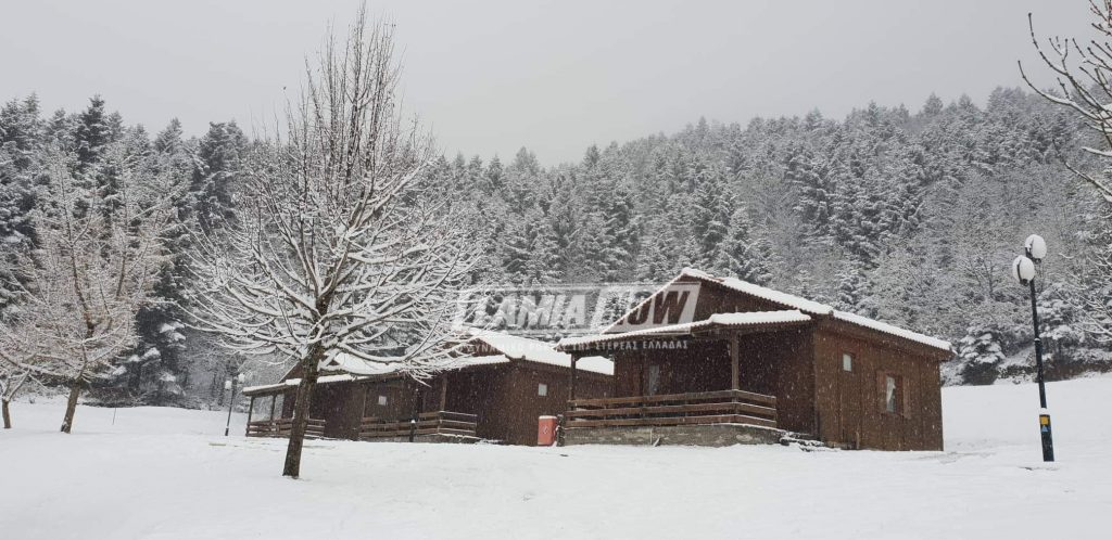 received 192322725045320 | Lamianow.gr