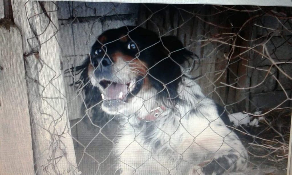 received 2223146304617525 | Lamianow.gr