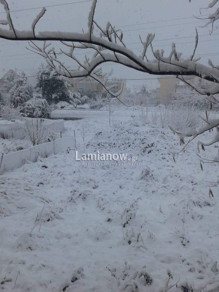 received 2241171549462885 | Lamianow.gr