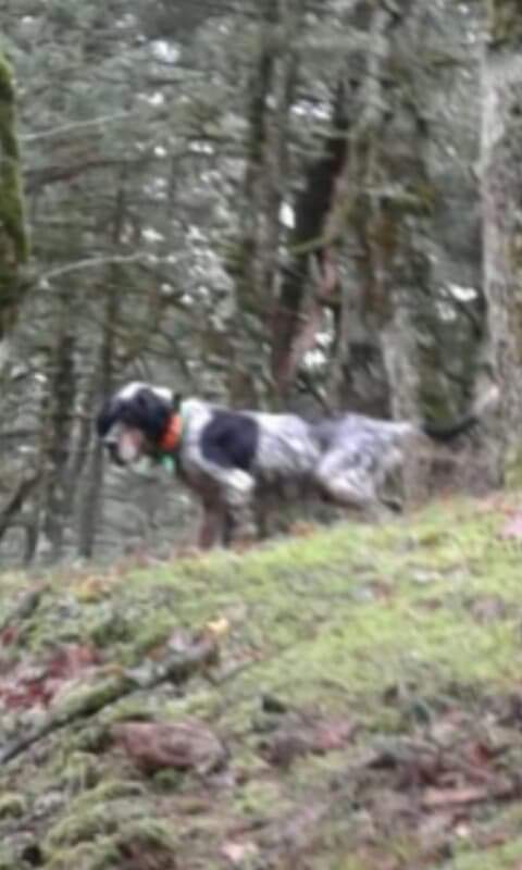 received 367173080776261 | Lamianow.gr