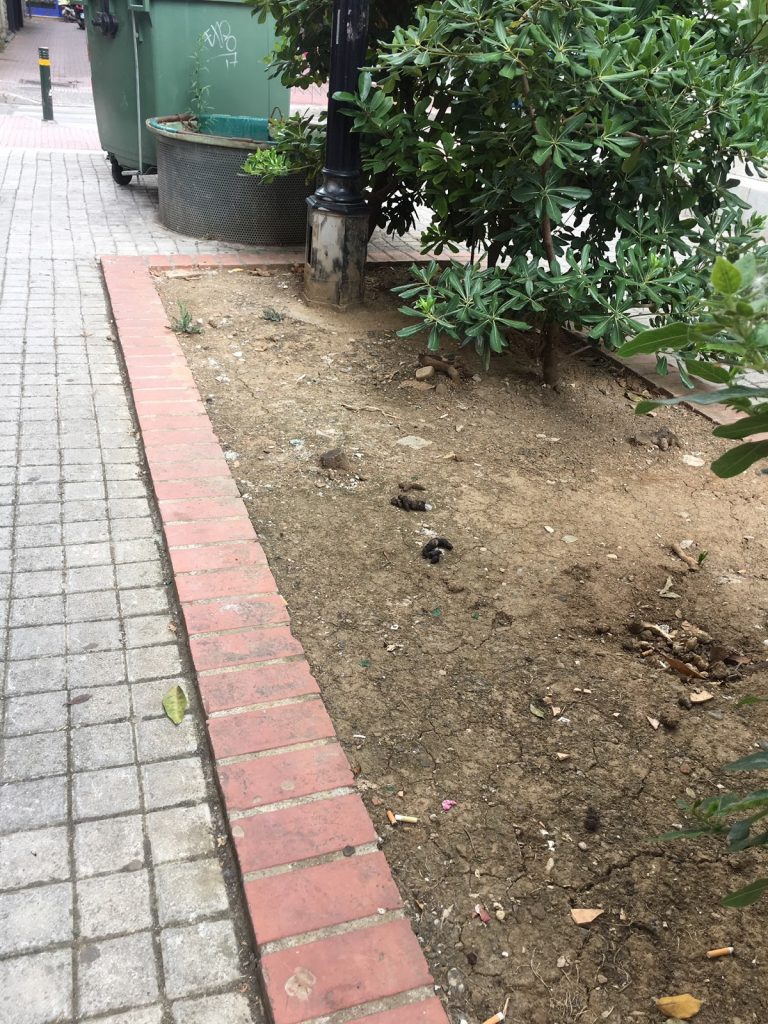 dimotiki 1 | Lamianow.gr