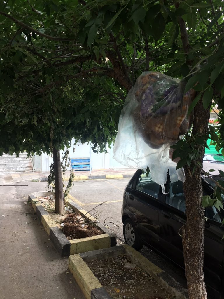 dimotiki 2 | Lamianow.gr