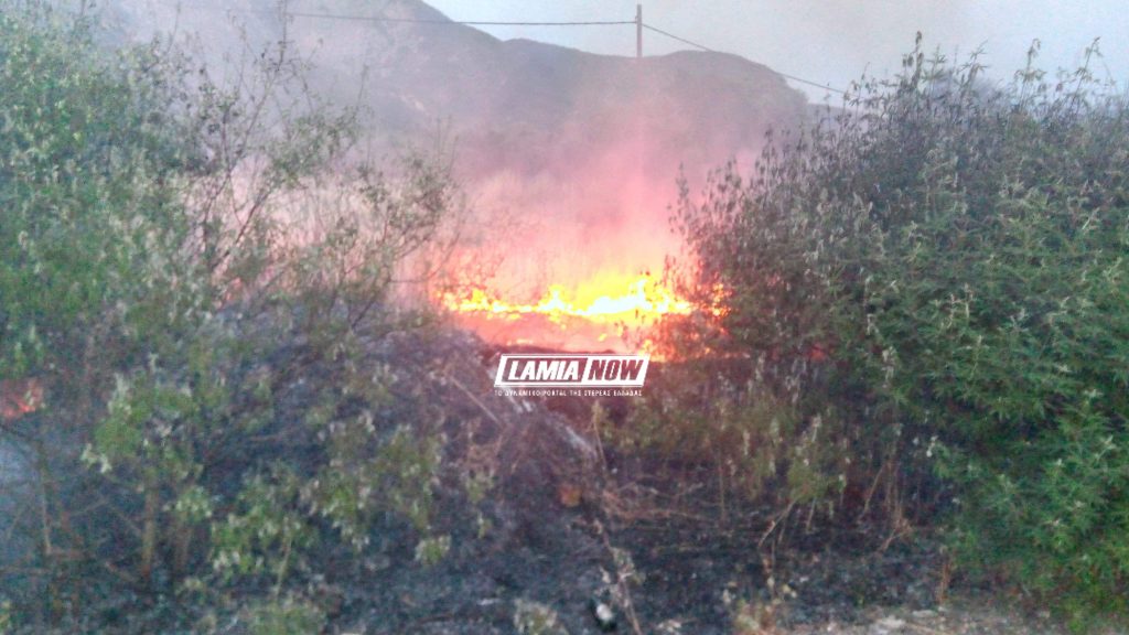 received 2321334064853743 | Lamianow.gr