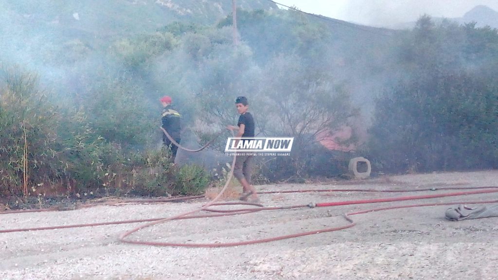 received 2400126700054001 | Lamianow.gr