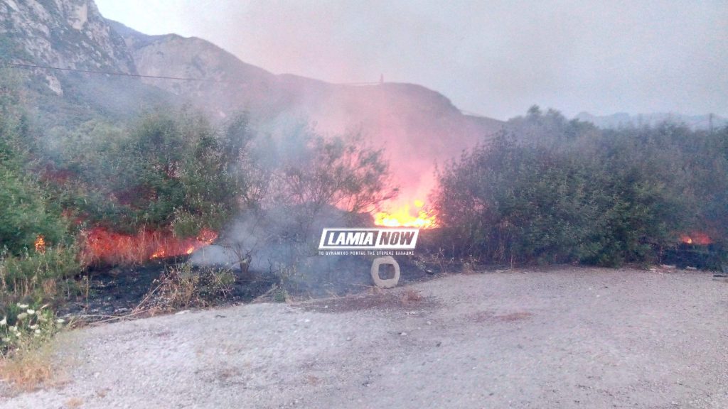 received 313569776224241 | Lamianow.gr