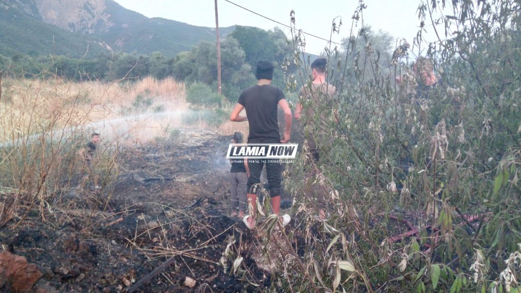 received 338545453481309 | Lamianow.gr