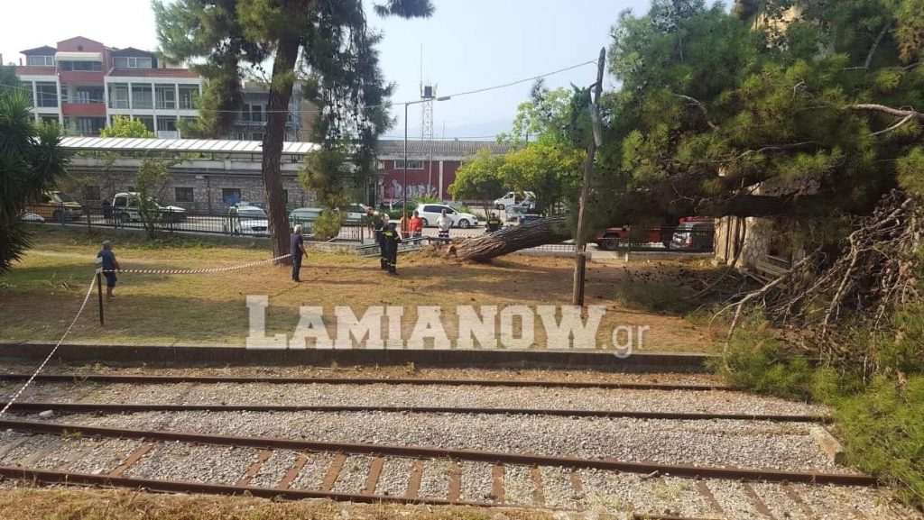 received 2227774334015281 | Lamianow.gr