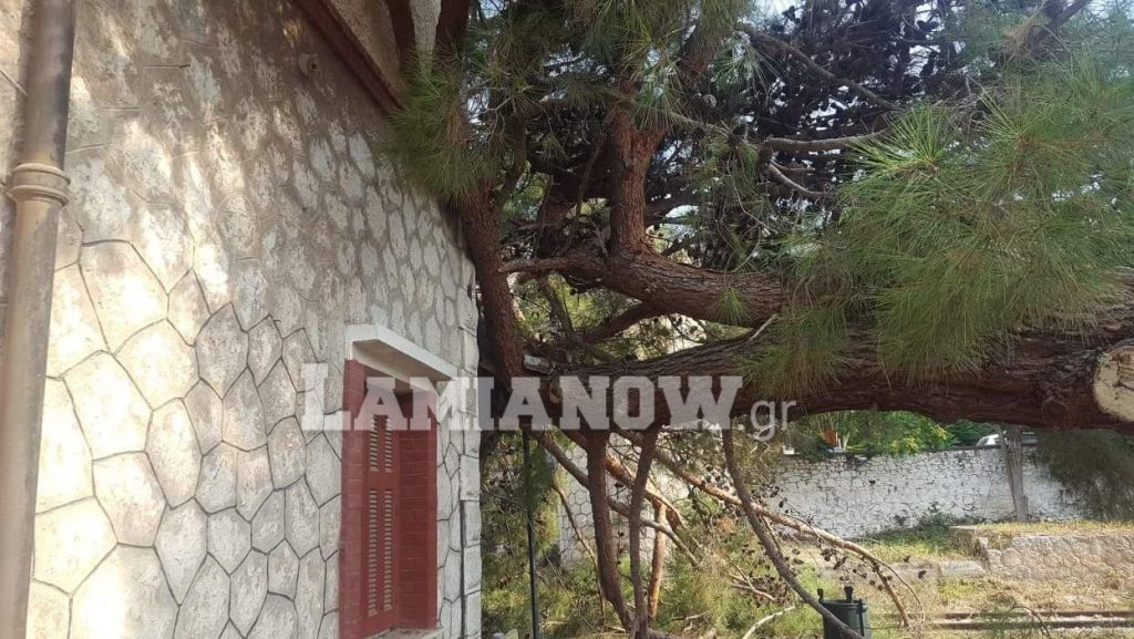 received 2579435635442217 | Lamianow.gr