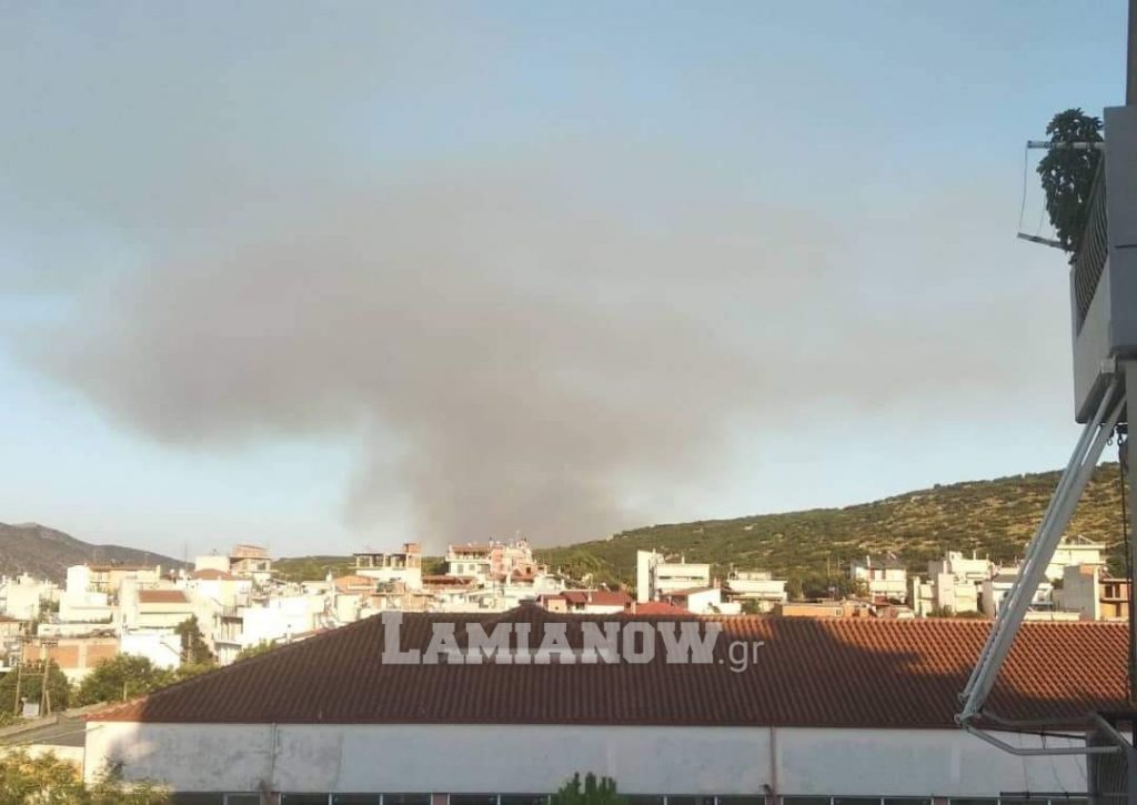 received 26331776334127641 | Lamianow.gr