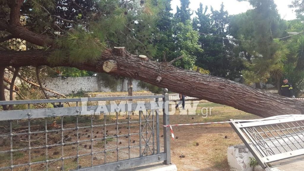 received 379856452931423 | Lamianow.gr