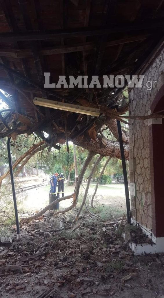 received 421167858741297 | Lamianow.gr