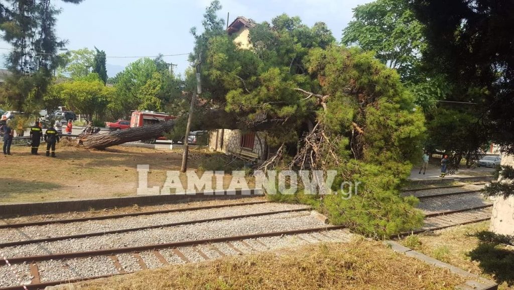 received 800849846979191 | Lamianow.gr