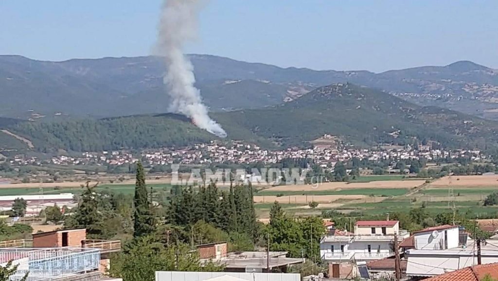 received 1120973684755150 | Lamianow.gr