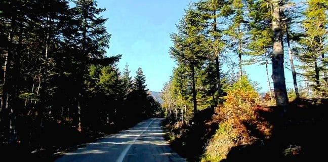 Screenshot 20201206 113723 Video Player 01 | Lamianow.gr