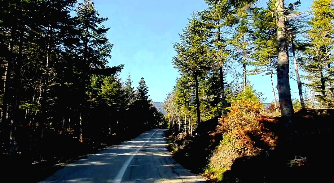 Screenshot 20201206 113723 Video Player 01 | Lamianow.gr