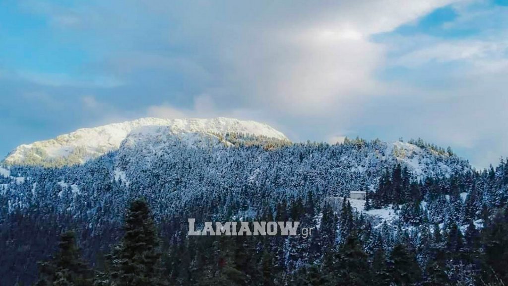 https://lamianow.b-cdn.net/wp-content/uploads/2024/03/Iamia-Now-01-1-2-1-scaled.jpg