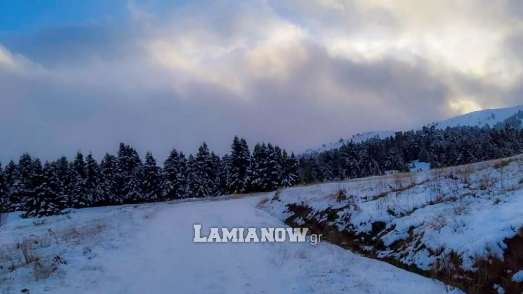 https://lamianow.b-cdn.net/wp-content/uploads/2024/03/Iamia-Now-01-1-2-1-scaled.jpg