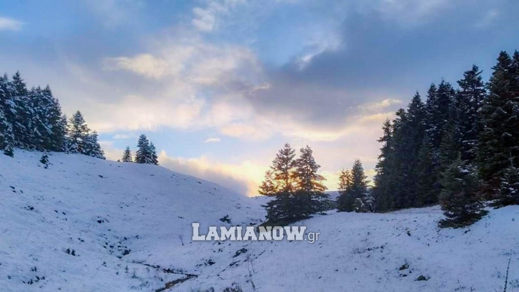 https://lamianow.b-cdn.net/wp-content/uploads/2024/03/Iamia-Now-01-1-2-1-scaled.jpg