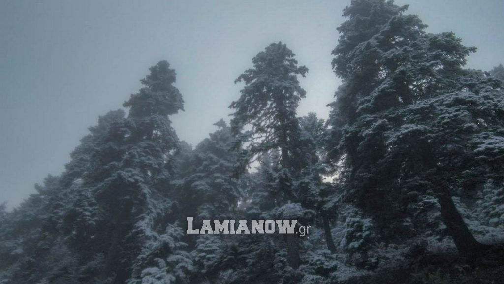 https://lamianow.b-cdn.net/wp-content/uploads/2024/03/Iamia-Now-01-1-2-1-scaled.jpg