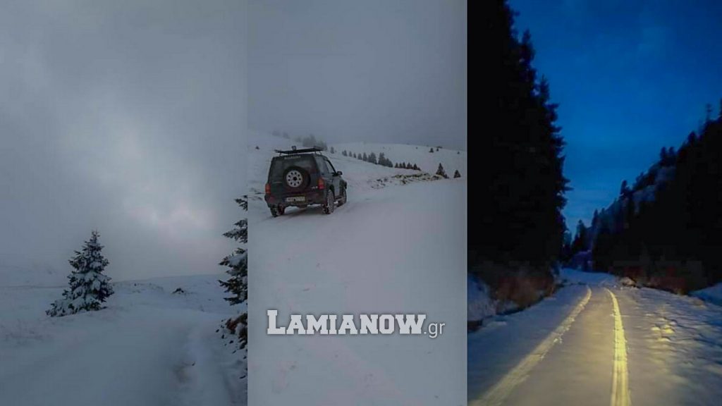https://lamianow.b-cdn.net/wp-content/uploads/2024/03/Iamia-Now-01-1-2-1-scaled.jpg
