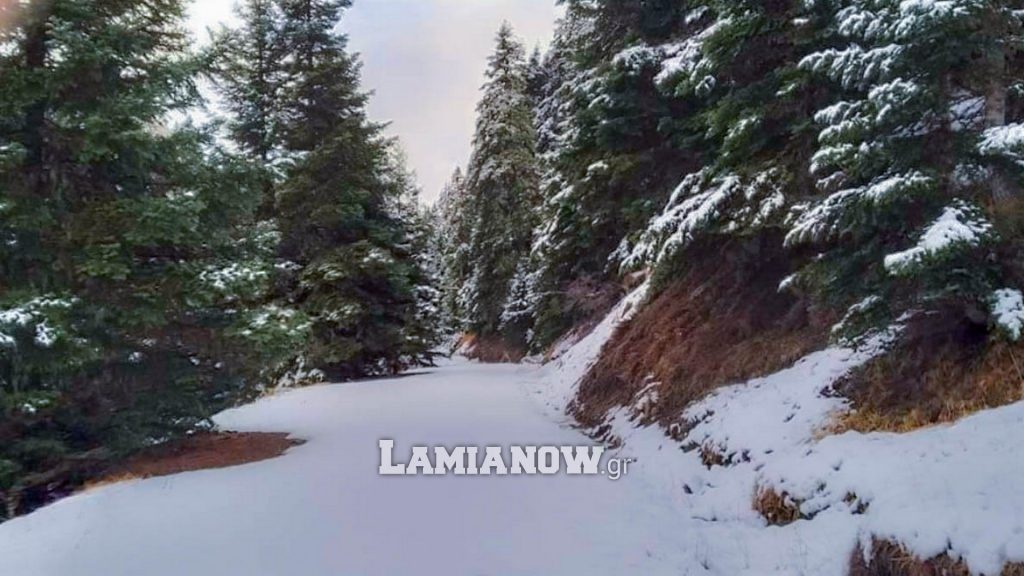 https://lamianow.b-cdn.net/wp-content/uploads/2024/03/Iamia-Now-01-1-2-1-scaled.jpg
