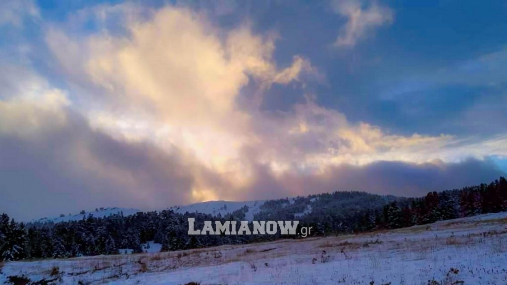 https://lamianow.b-cdn.net/wp-content/uploads/2024/03/Iamia-Now-01-1-2-1-scaled.jpg