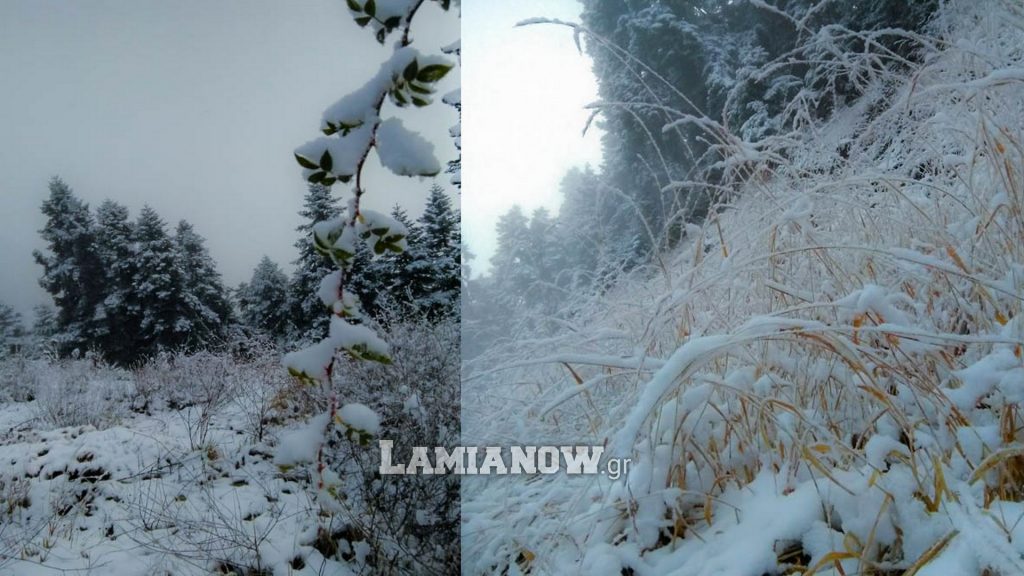 https://lamianow.b-cdn.net/wp-content/uploads/2024/03/Iamia-Now-01-1-2-1-scaled.jpg