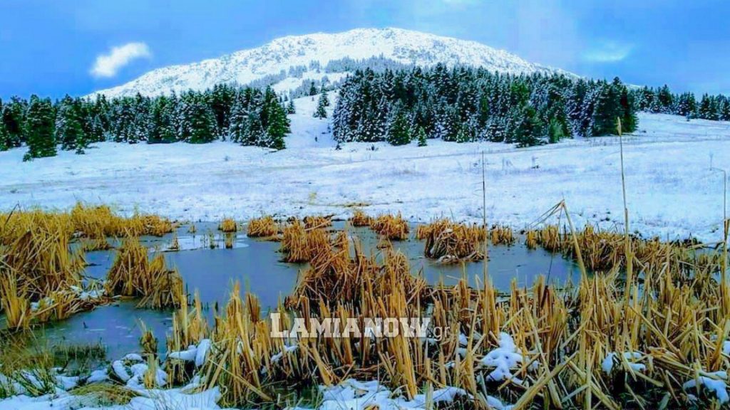 https://lamianow.b-cdn.net/wp-content/uploads/2024/03/Iamia-Now-01-1-2-1-scaled.jpg