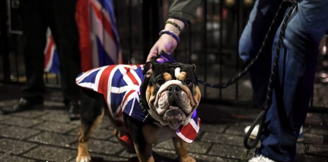 image 4 | Lamianow.gr