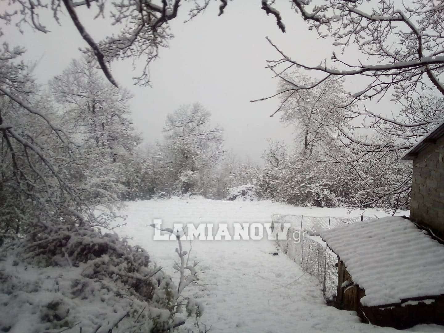 received 237319160980115 | Lamianow.gr