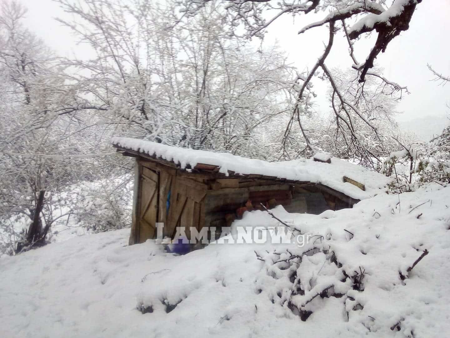 received 255816302244525 | Lamianow.gr