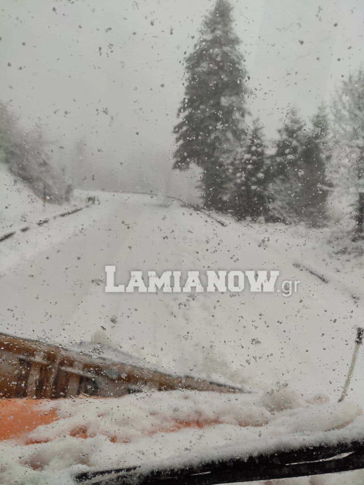 received 256215182176005 | Lamianow.gr