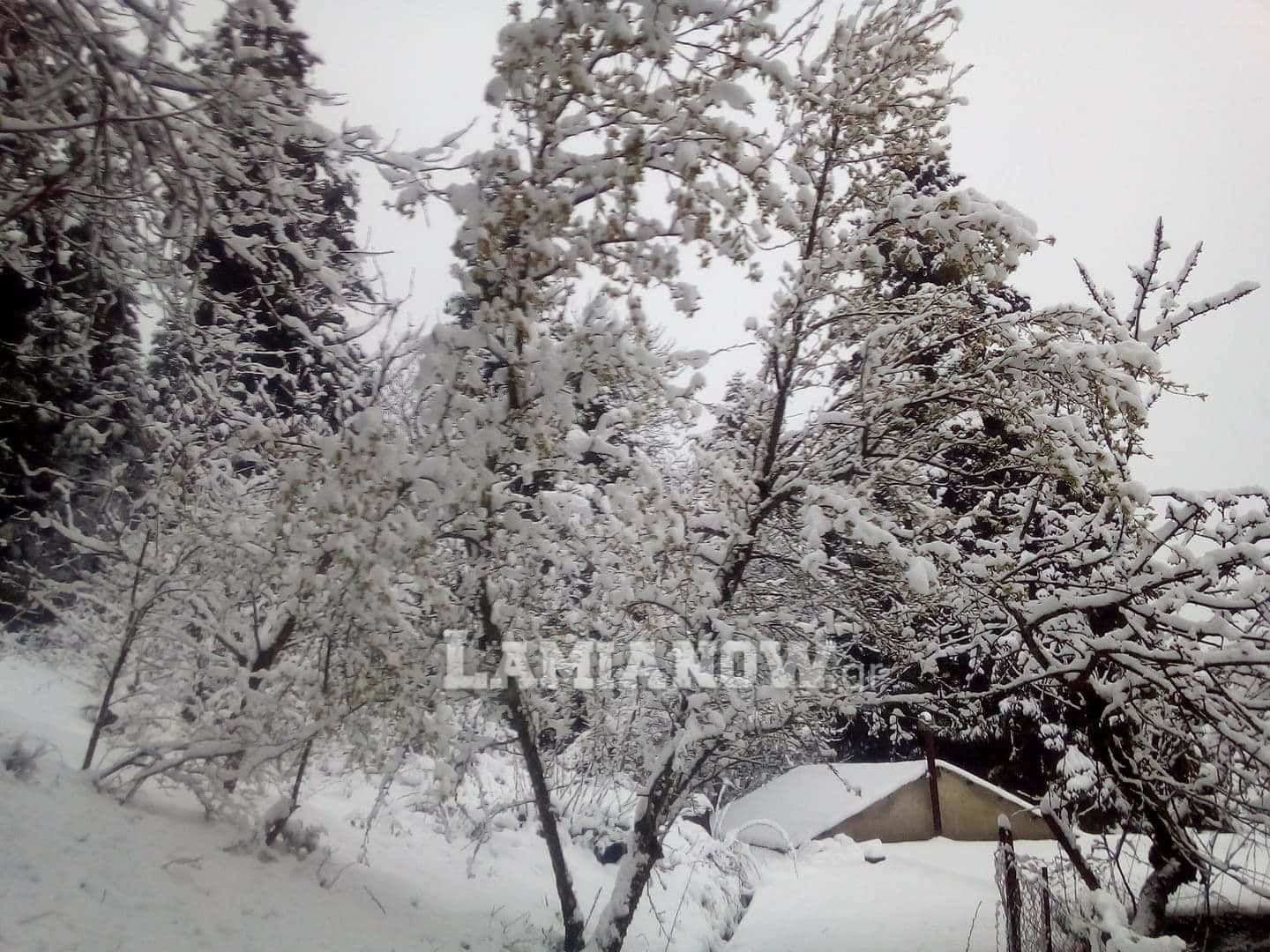 received 298330324483337 | Lamianow.gr