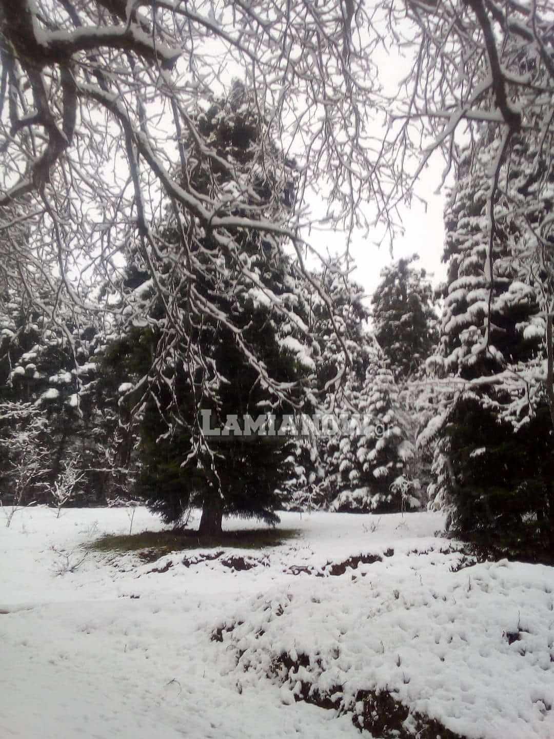 received 656408981789219 | Lamianow.gr