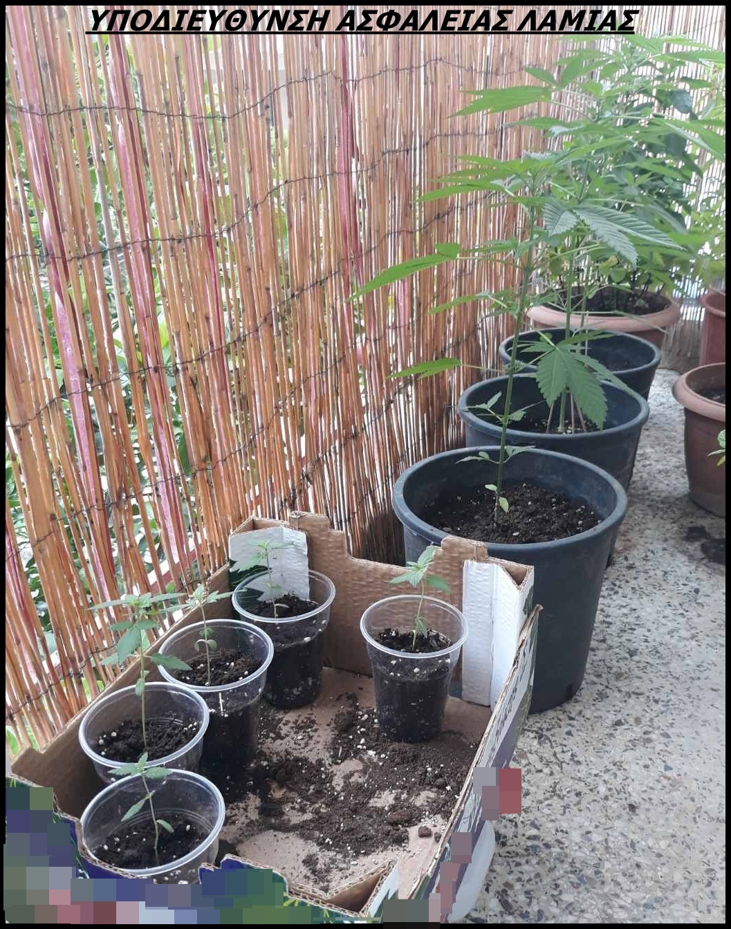 FOTO 1 Y.A. LAMIAS | Lamianow.gr