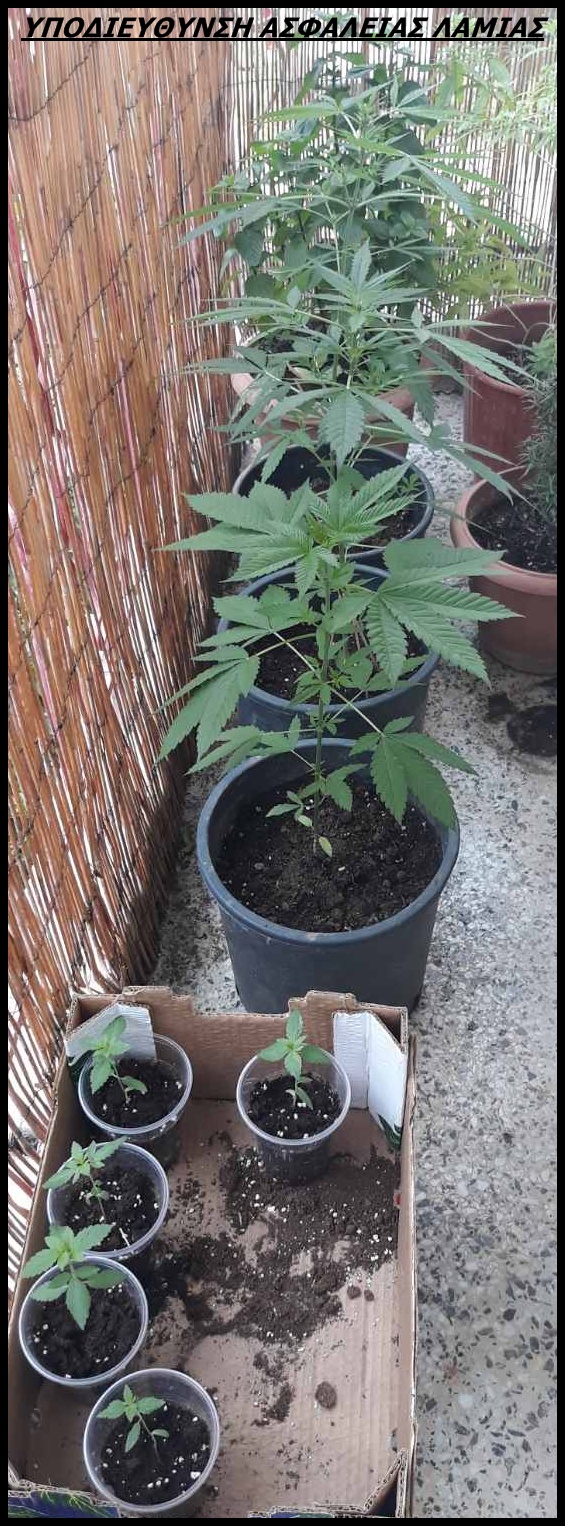 FOTO 2 Y.A. LAMIAS | Lamianow.gr