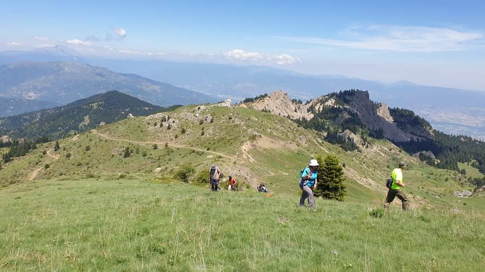 received 2711468612507267 | Lamianow.gr