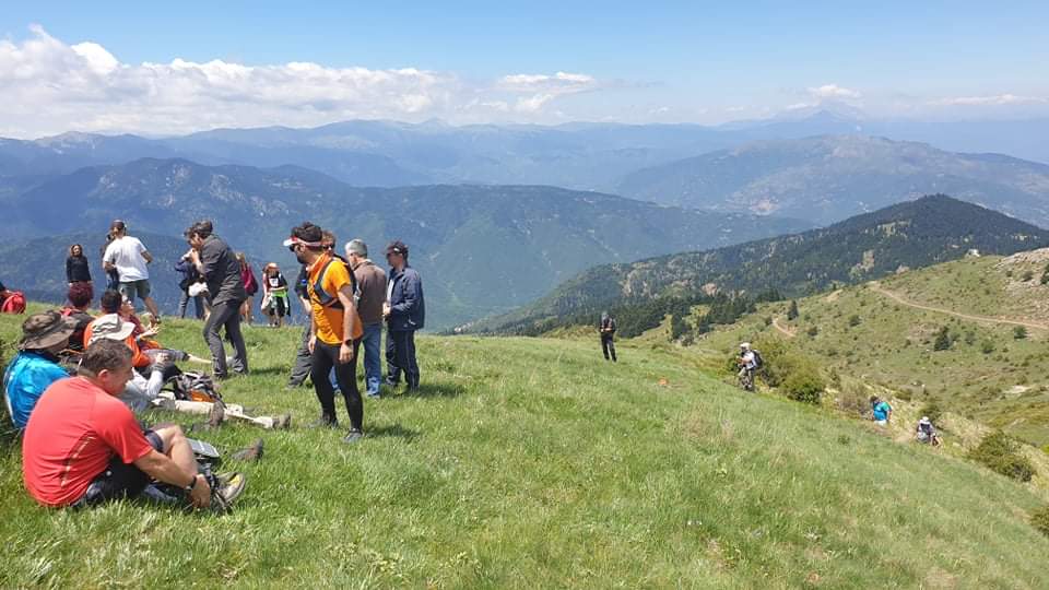 received 303082420856801 | Lamianow.gr