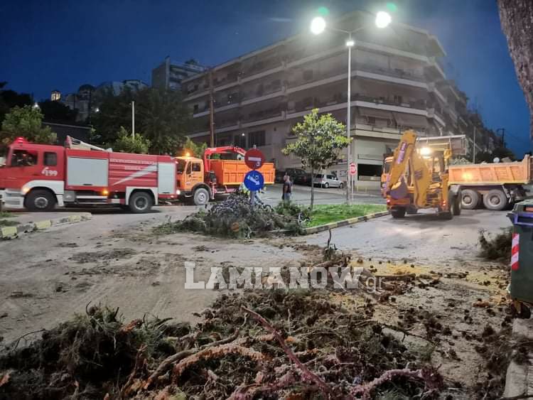 received 585390882358004 | Lamianow.gr