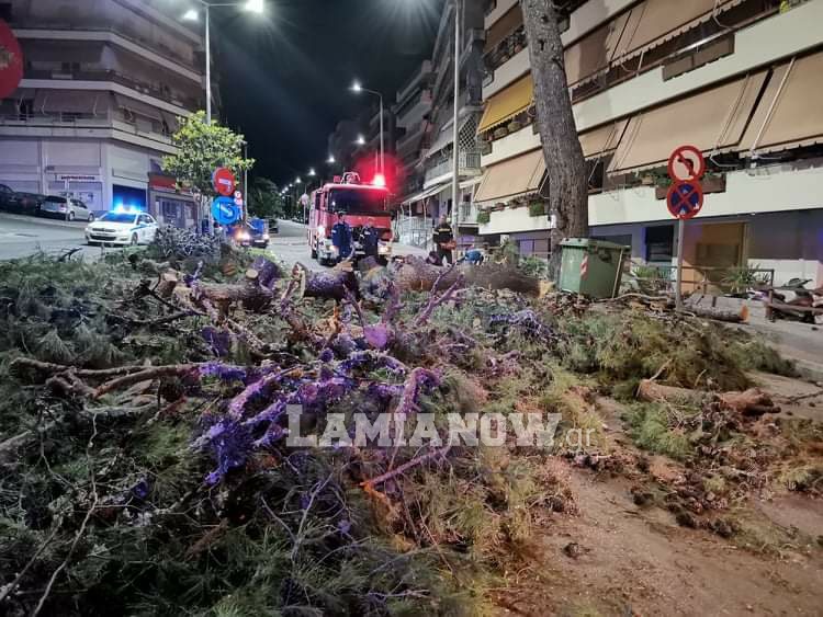 received 651434058920377 | Lamianow.gr