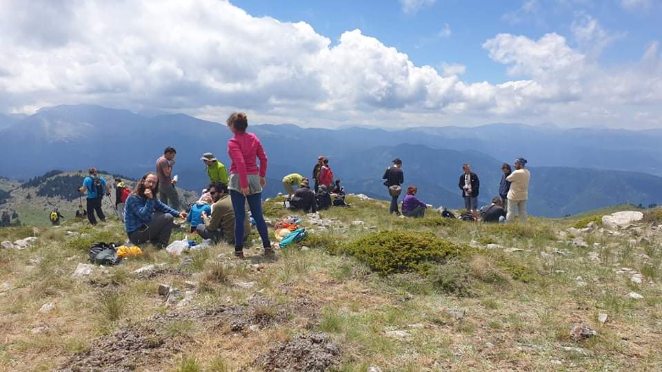 received 936440006818511 | Lamianow.gr