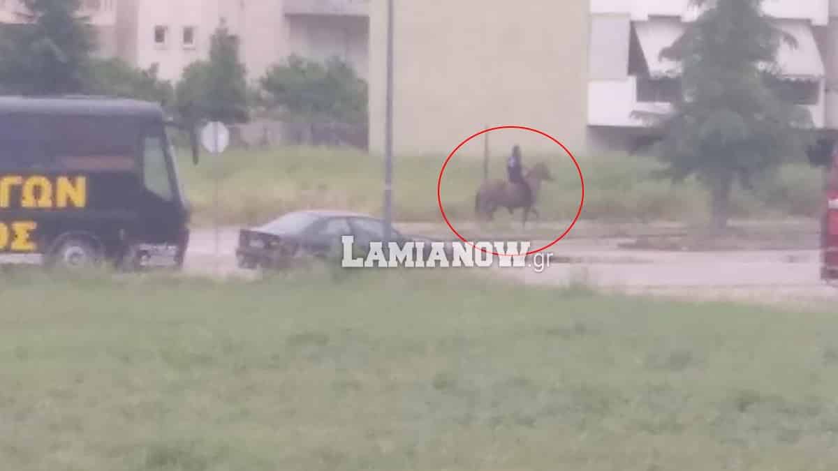 https://lamianow.b-cdn.net/wp-content/uploads/2024/03/Iamia-Now-01-1-2-1-scaled.jpg