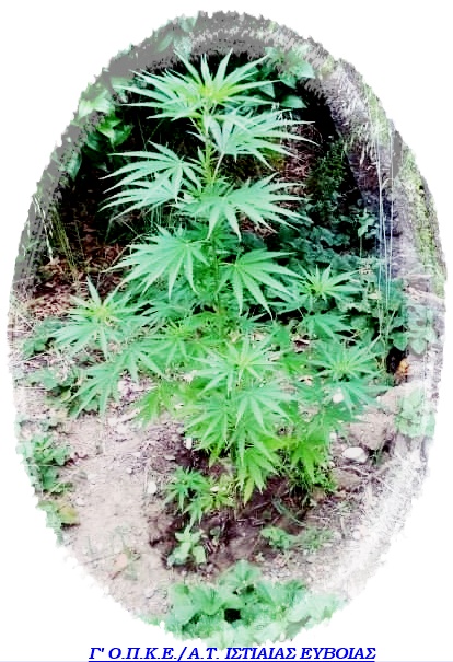 FOTO 1 G OPKE EYBOIAS | Lamianow.gr