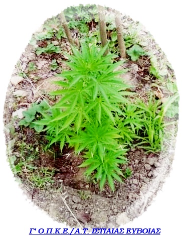 FOTO 2 G OPKE EYBOIAS | Lamianow.gr