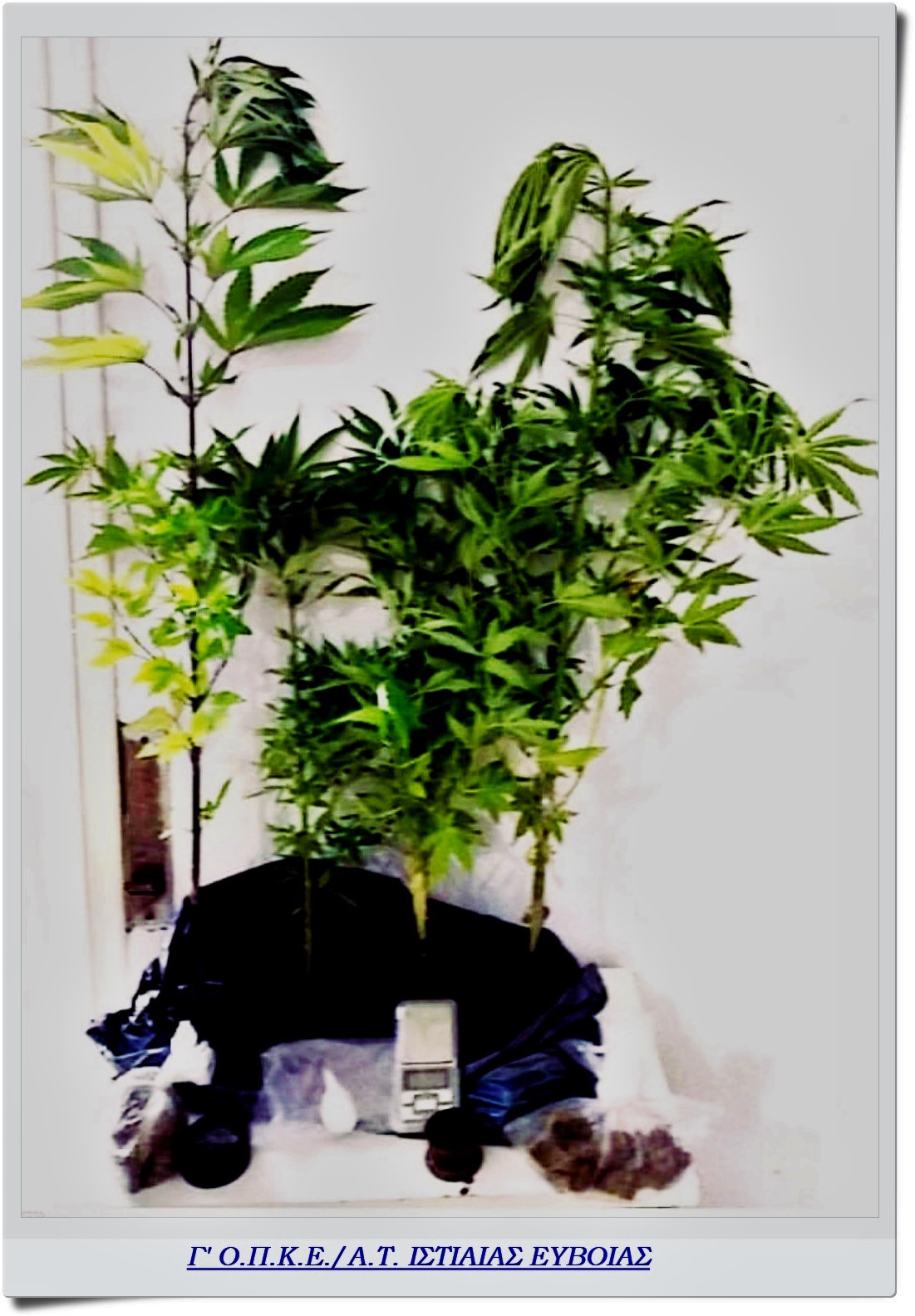 FOTO 3 G OPKE EYBOIAS | Lamianow.gr