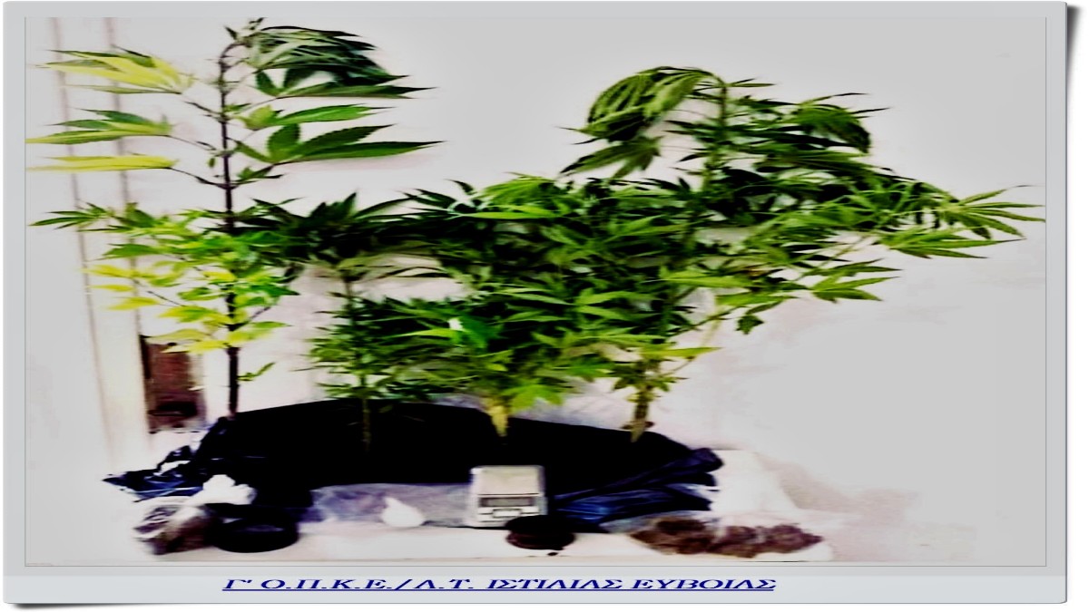 FOTO 3 G OPKE | Lamianow.gr